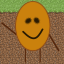 Server Icon
